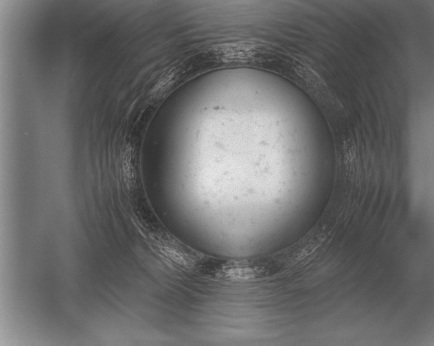 X0000052610228200507081855