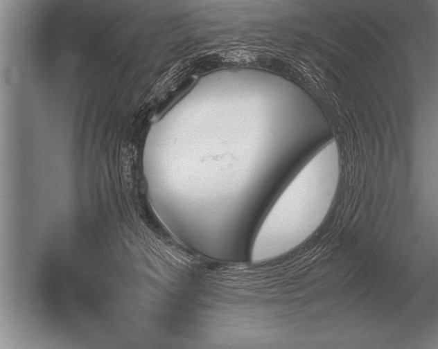 X0000052610229200507081855