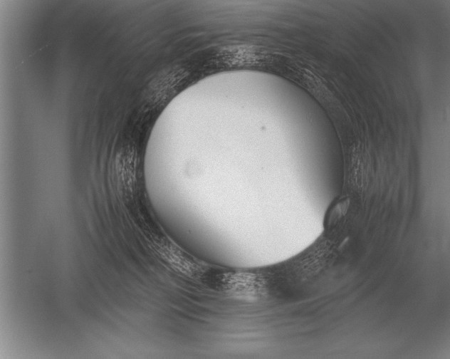 X0000052610230200507081855