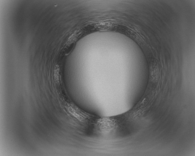 X0000052610231200507081854