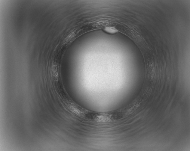 X0000052610232200507081854