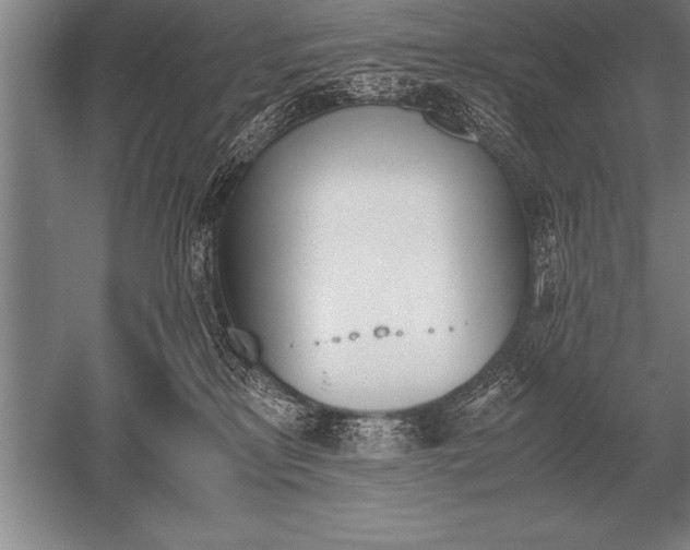 X0000052610233200507081854