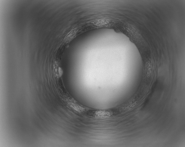 X0000052610234200507081854