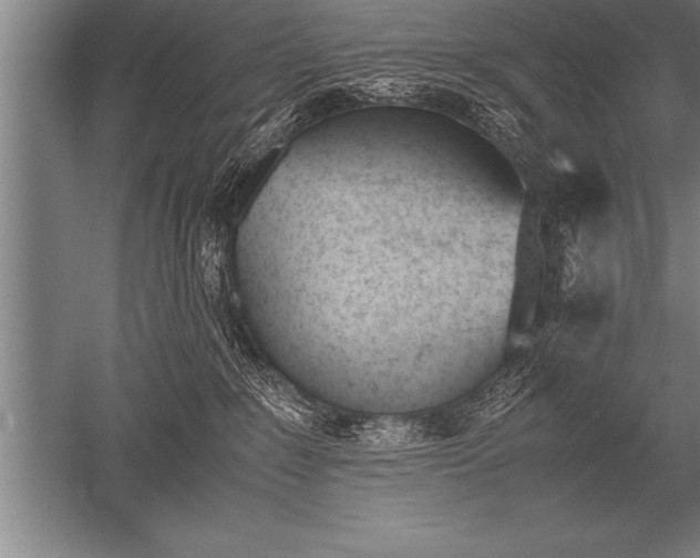 X0000052610235200507081854