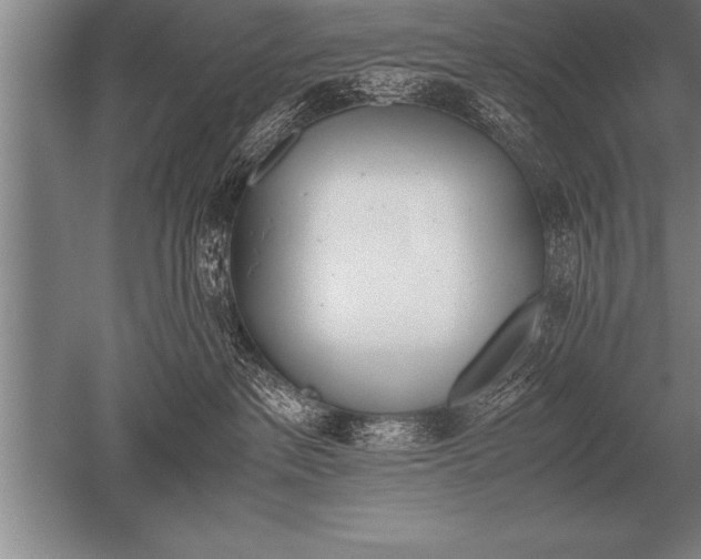 X0000052610237200507081854