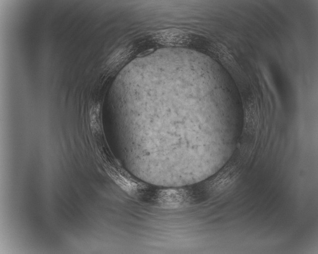 X0000052610239200507081854