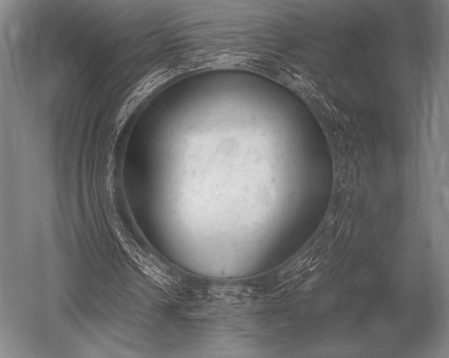 X0000052610242200507081854