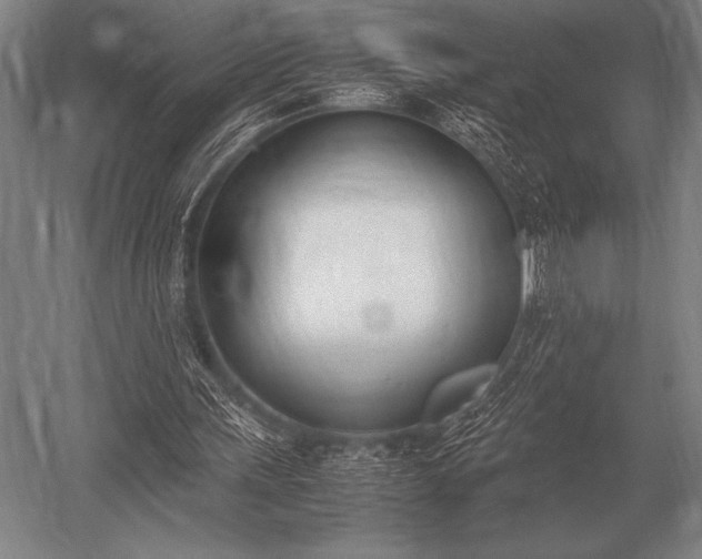 X0000052610243200507081854