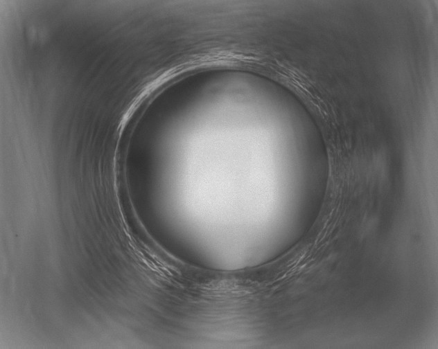 X0000052610244200507081854