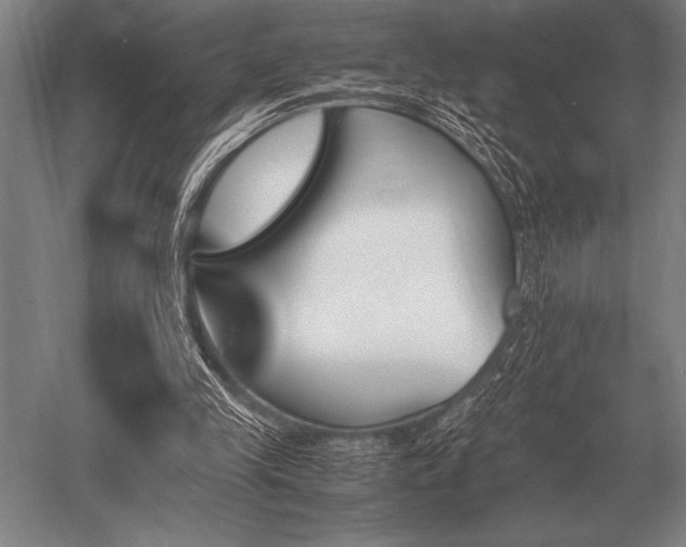 X0000052610245200507081854