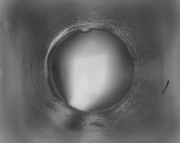 X0000052610246200507081854