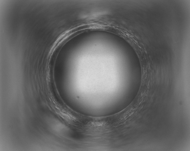 X0000052610247200507081854