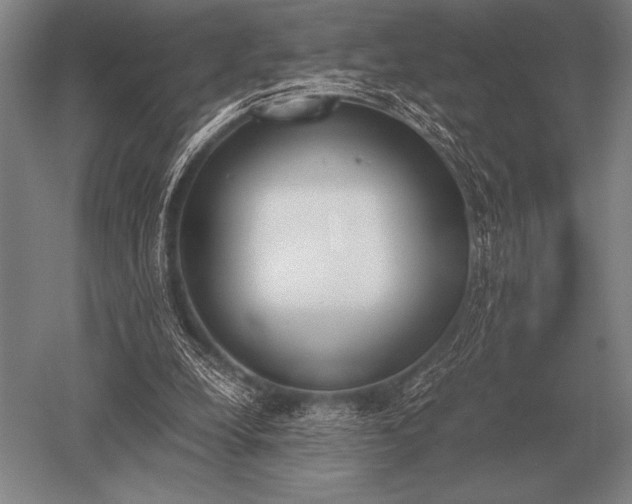 X0000052610248200507081854