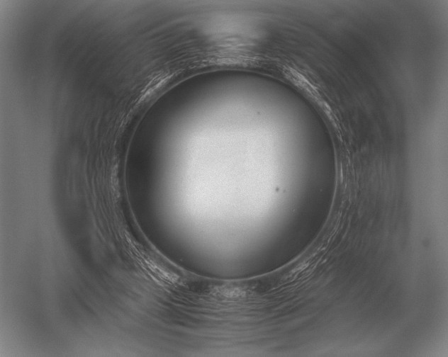 X0000052610249200507081854