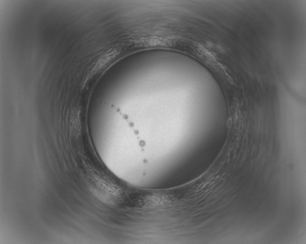 X0000052610250200507081854