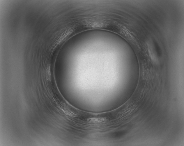 X0000052610251200507081854