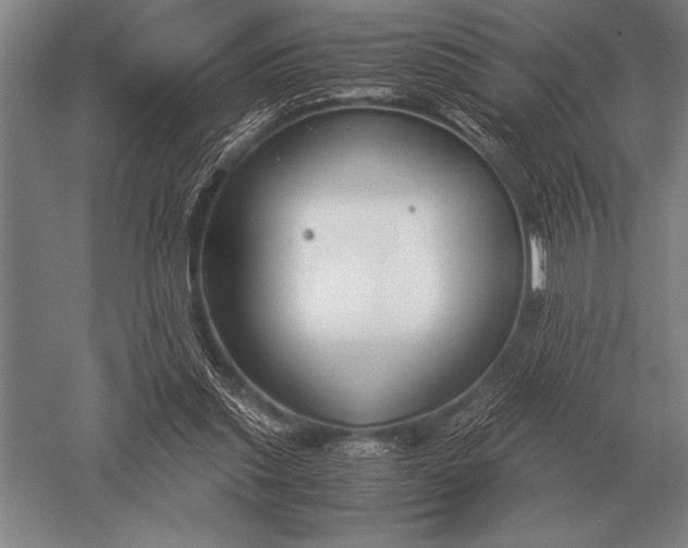 X0000052610253200507081854