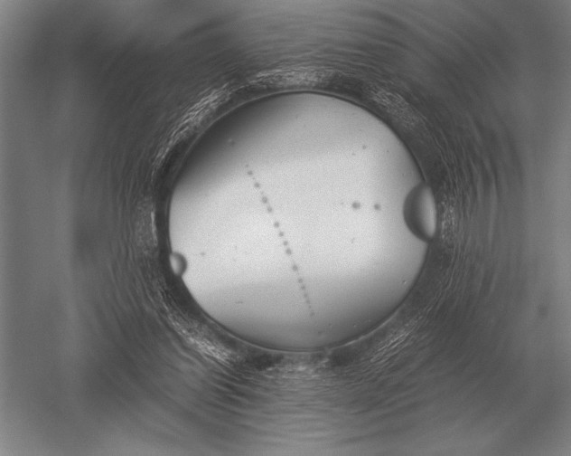 X0000052610254200507081854