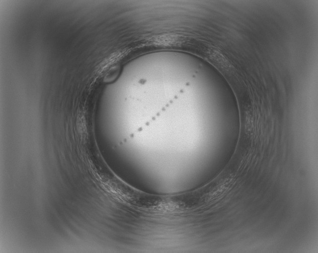 X0000052610256200507081854