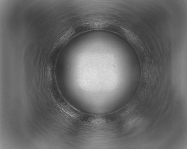 X0000052610258200507081854