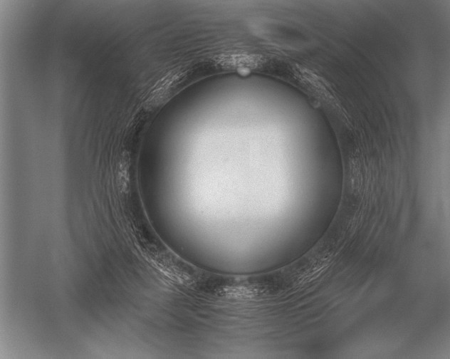 X0000052610259200507081854