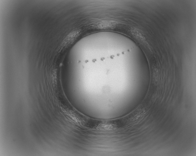 X0000052610260200507081854