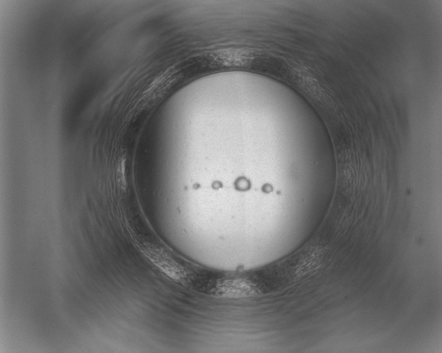 X0000052610262200507081854