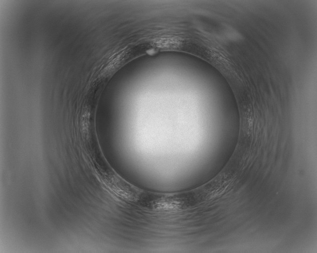 X0000052610263200507081854