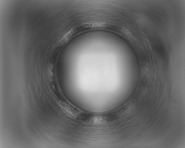 X0000052610264200507081854