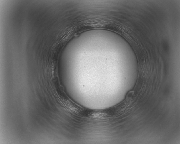 X0000052610268200507081854