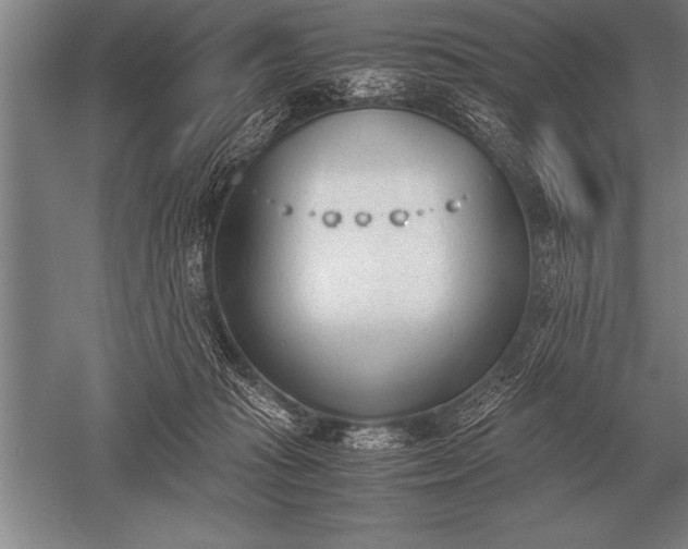 X0000052610269200507081854