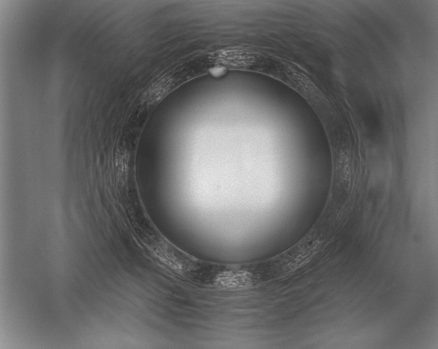 X0000052610271200507081854