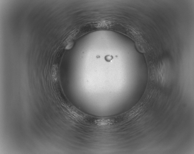 X0000052610273200507081854