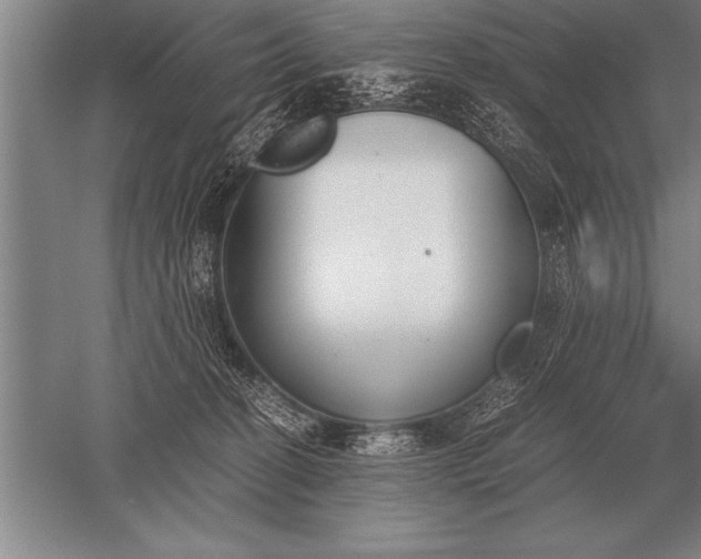 X0000052610274200507081854