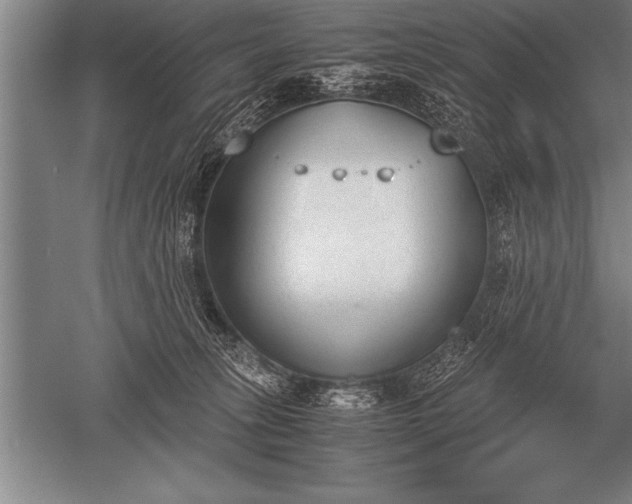 X0000052610275200507081854