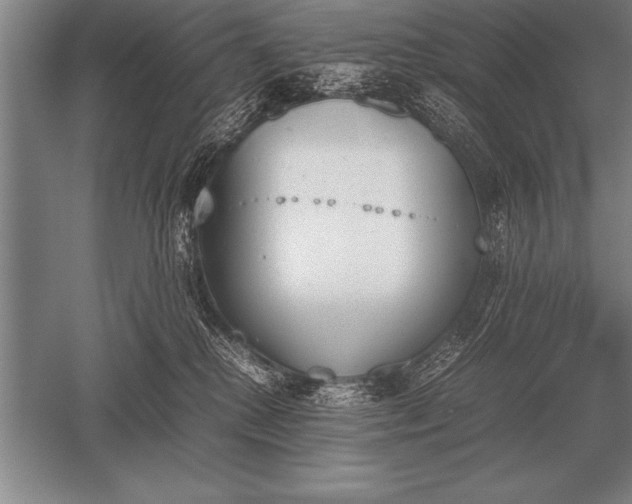 X0000052610280200507081854