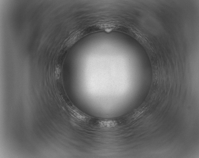 X0000052610281200507081854