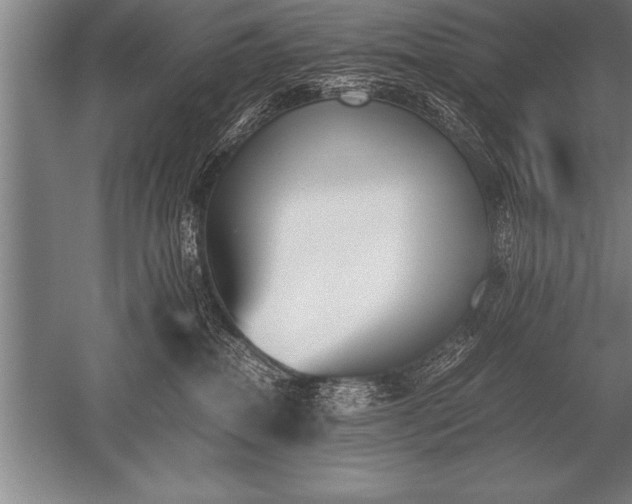 X0000052610282200507081854