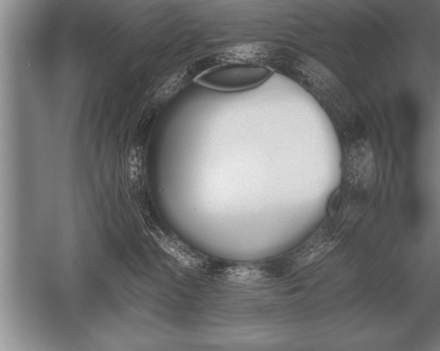 X0000052610284200507081854