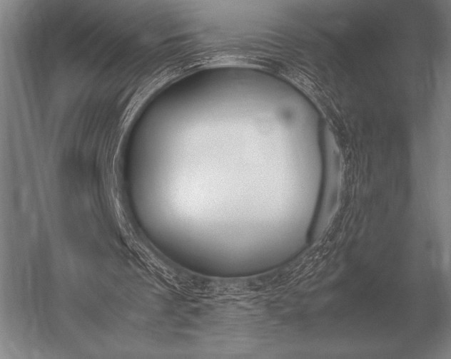 X0000052610289200507081854