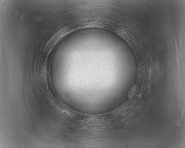 X0000052610290200507081854