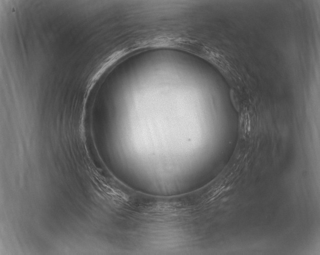 X0000052610292200507081853