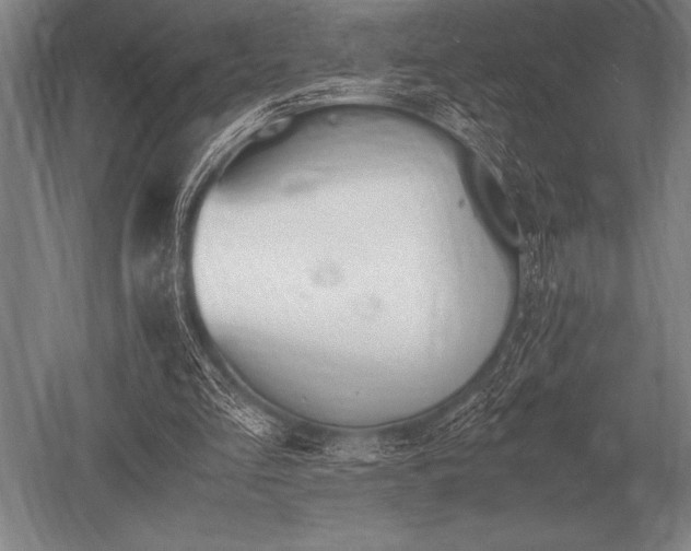 X0000052610293200507081853