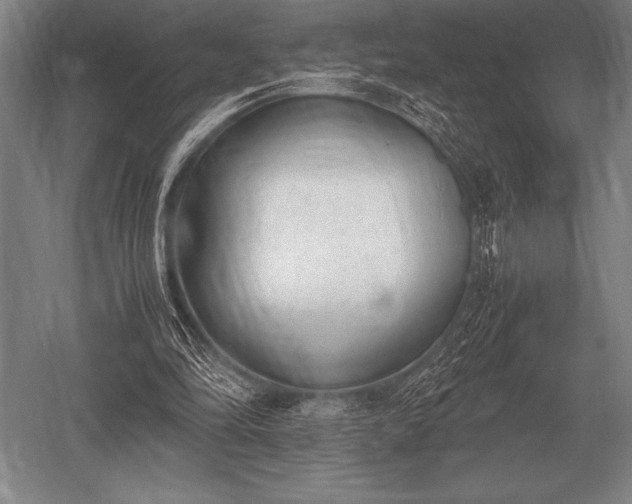 X0000052610294200507081853