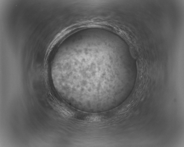 X0000052610295200507081853