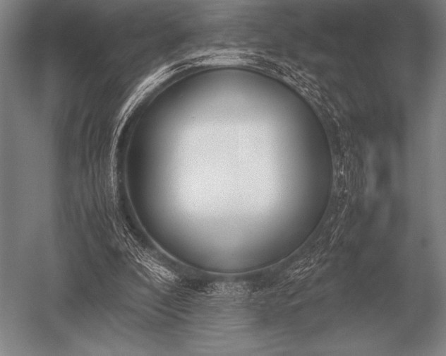 X0000052610296200507081853