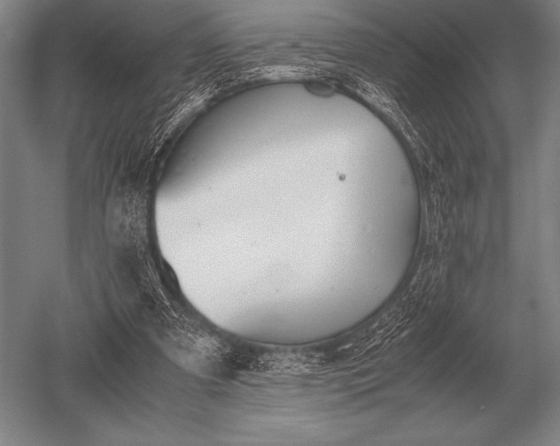 X0000052610297200507081853