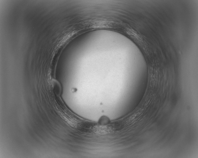 X0000052610298200507081853