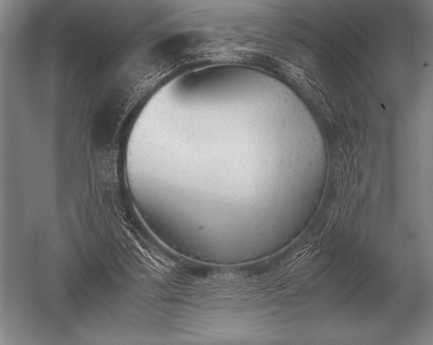 X0000052610299200507081853