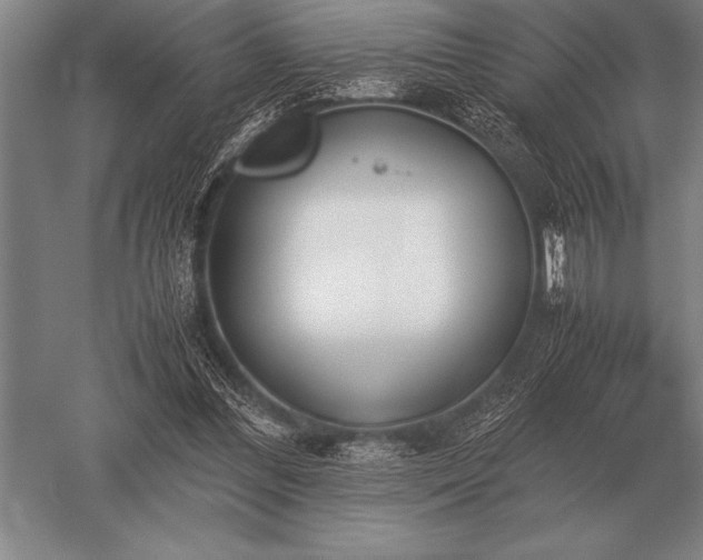 X0000052610300200507081853